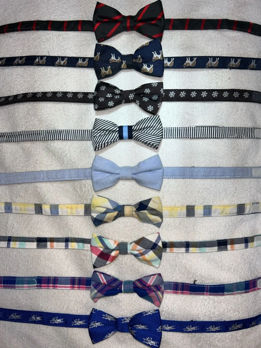 Janie and Jack Small Boy Bow Tie Set