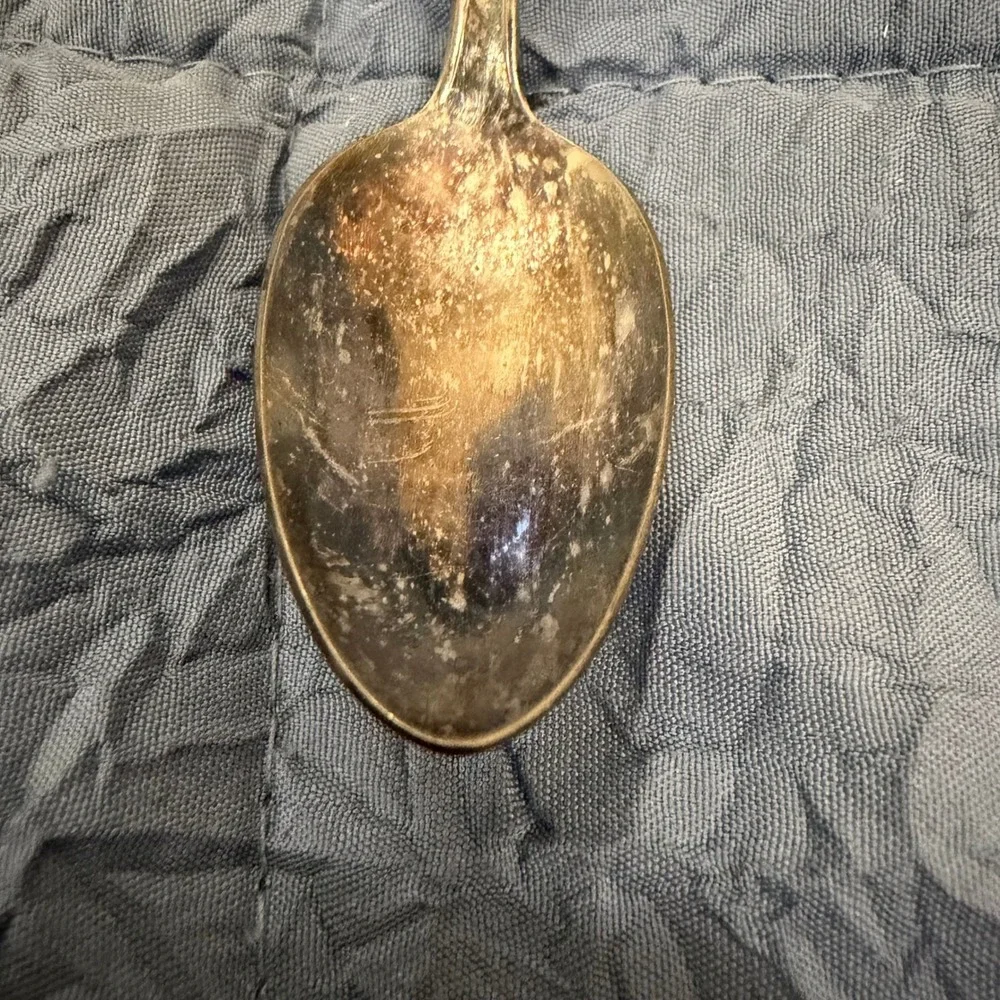 Vintage Mildred Quality Silver Plate Iced Tea Spoon Floral Rose Pattern 7.5 Inch