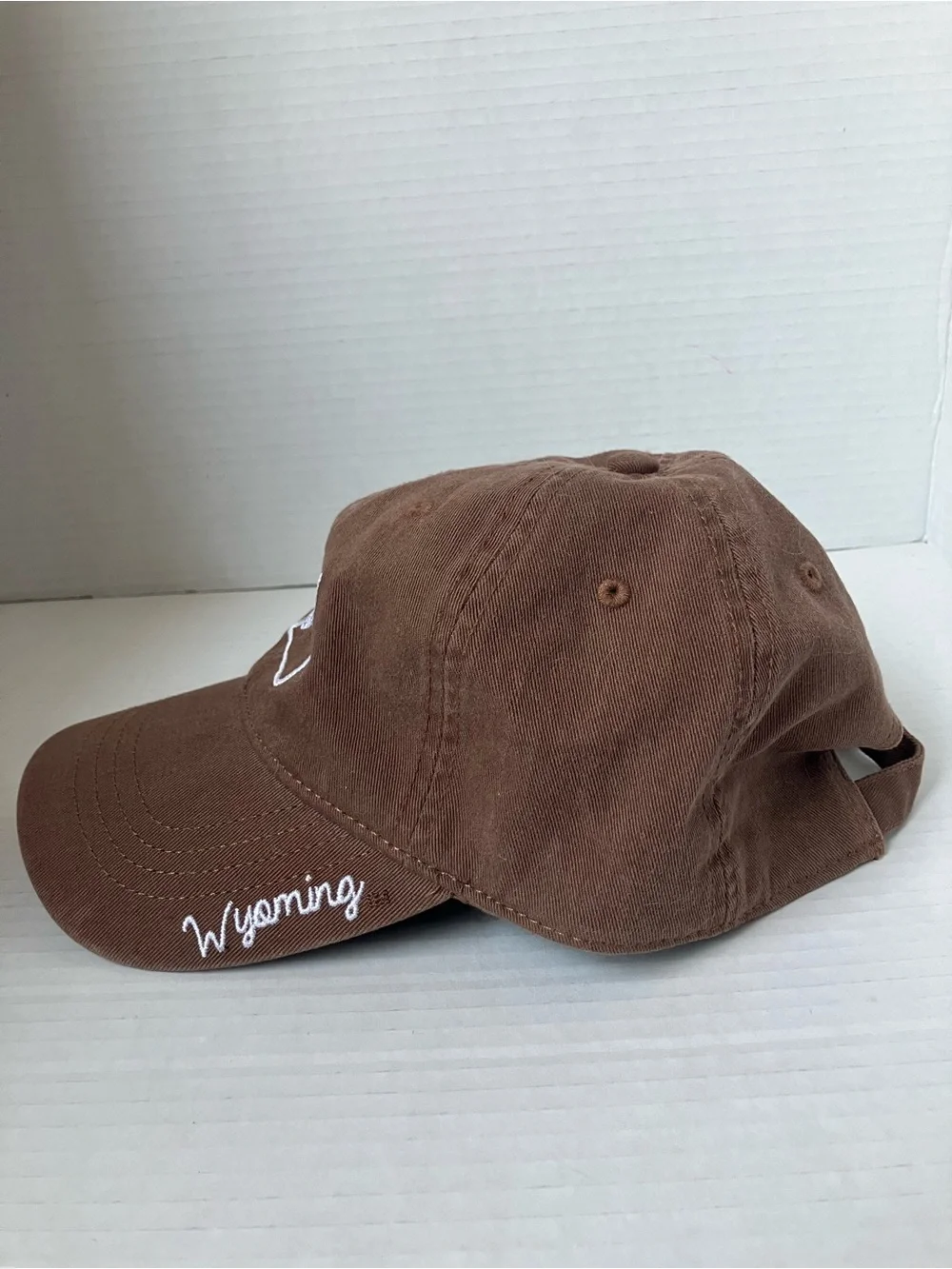Captivating brown baseball