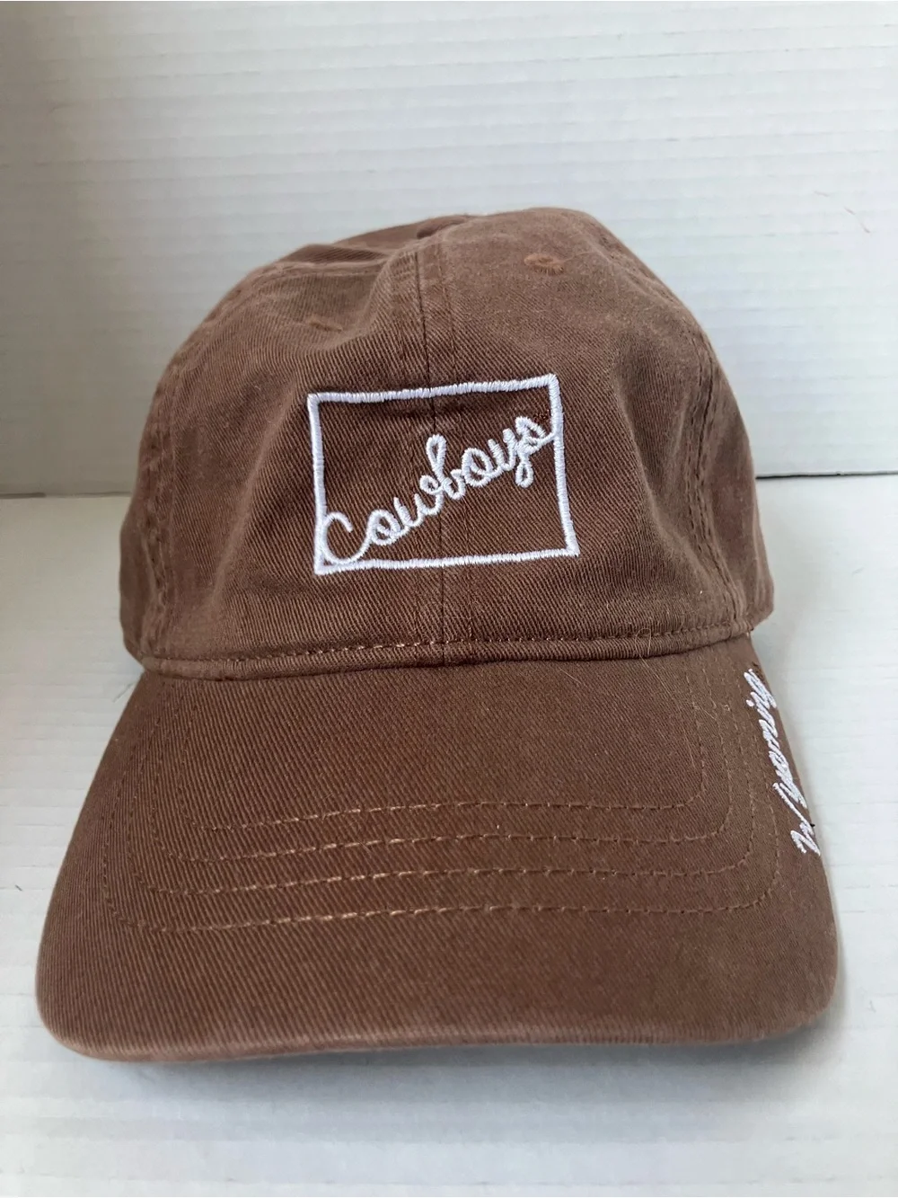 Captivating brown baseball