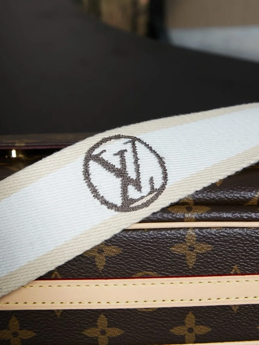 Louis Vuitton Handbag