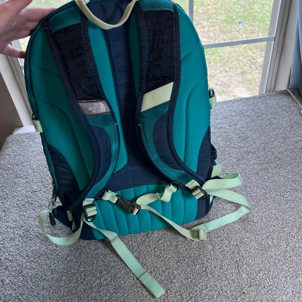 The North Face brand north