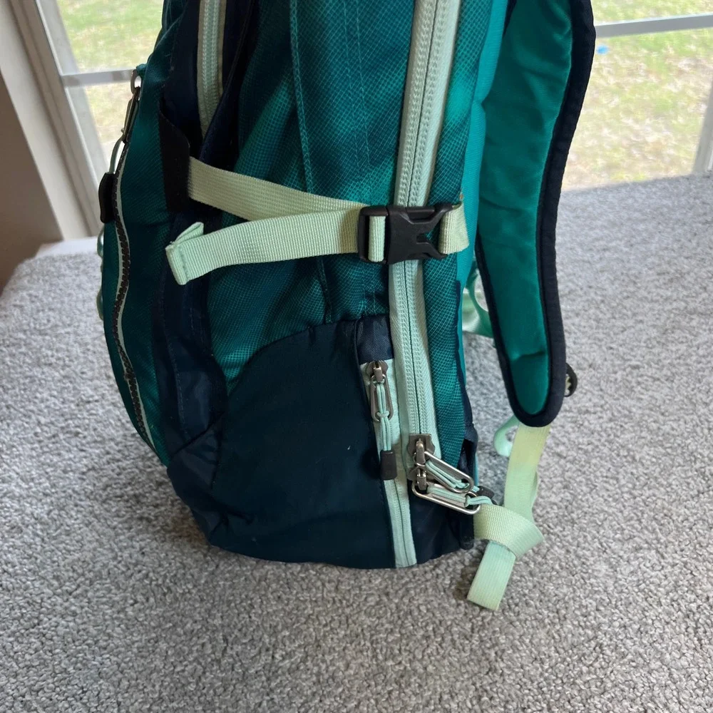 The North Face brand north