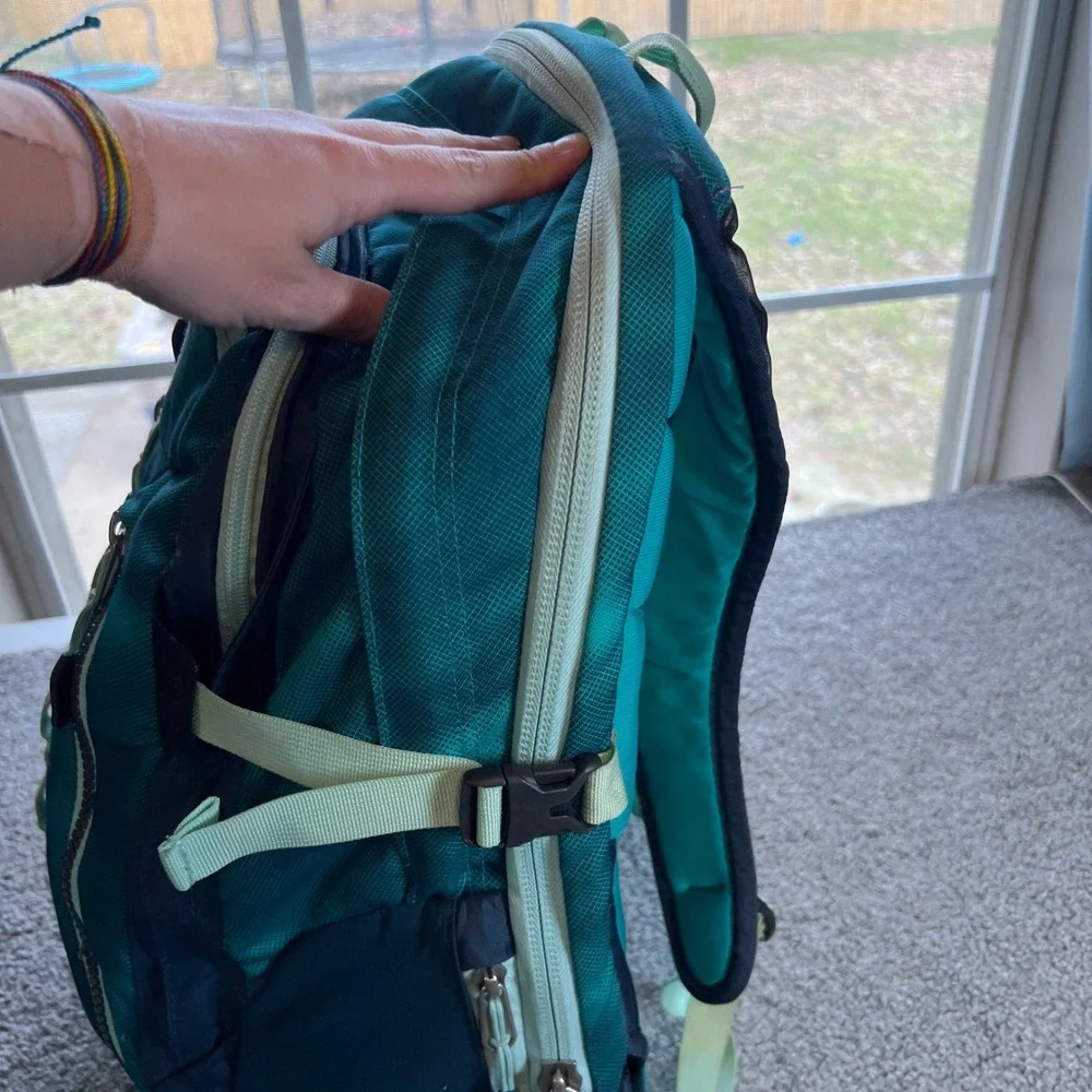 The North Face brand north