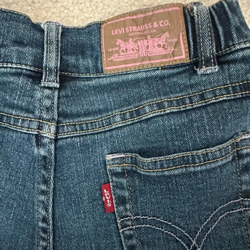 Levis levi’s altered