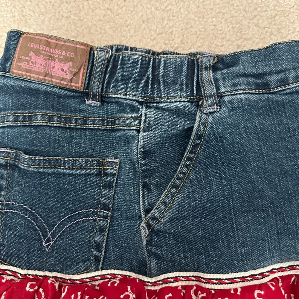 Levis levi’s altered