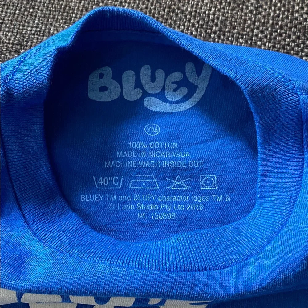 Bluey like new