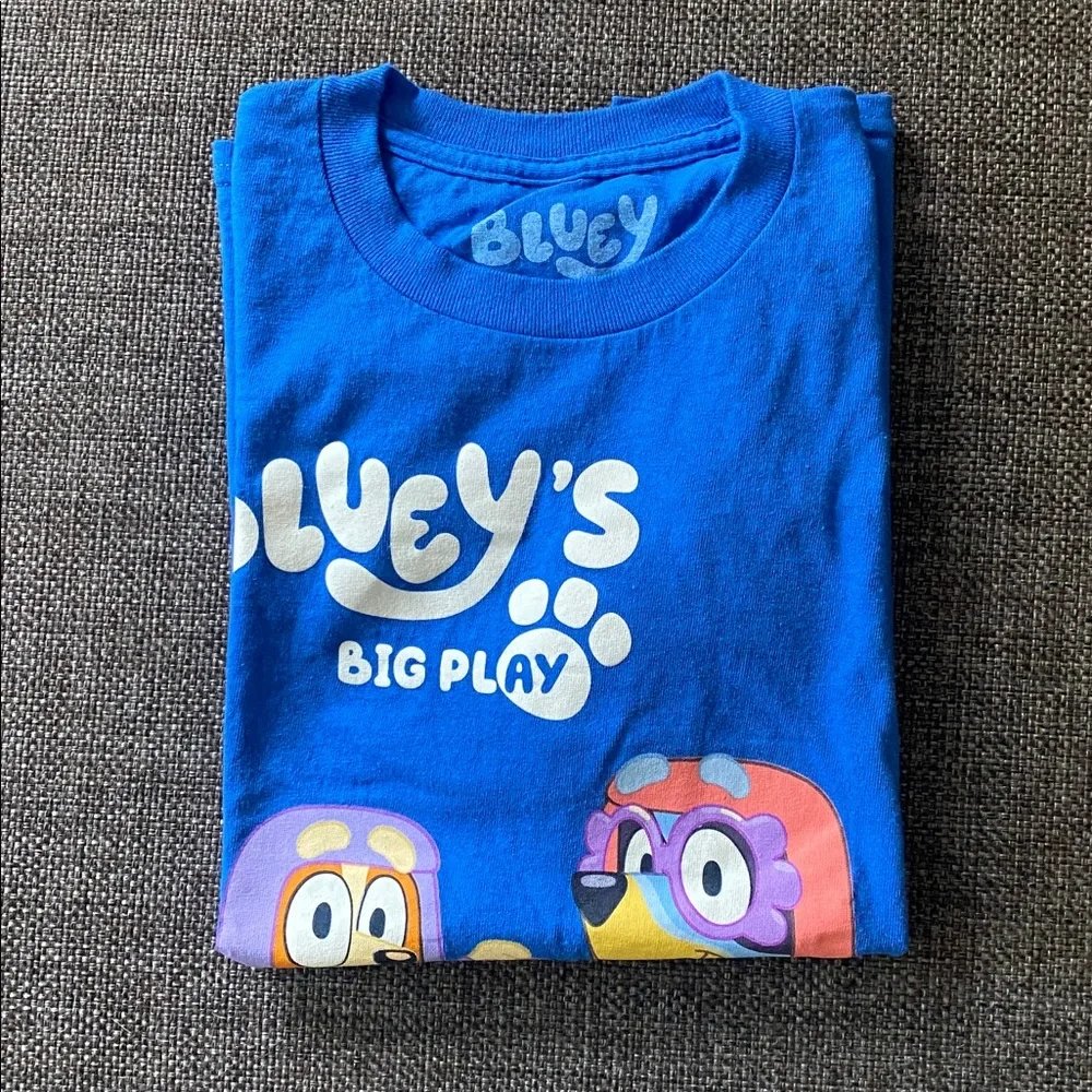 Bluey like new