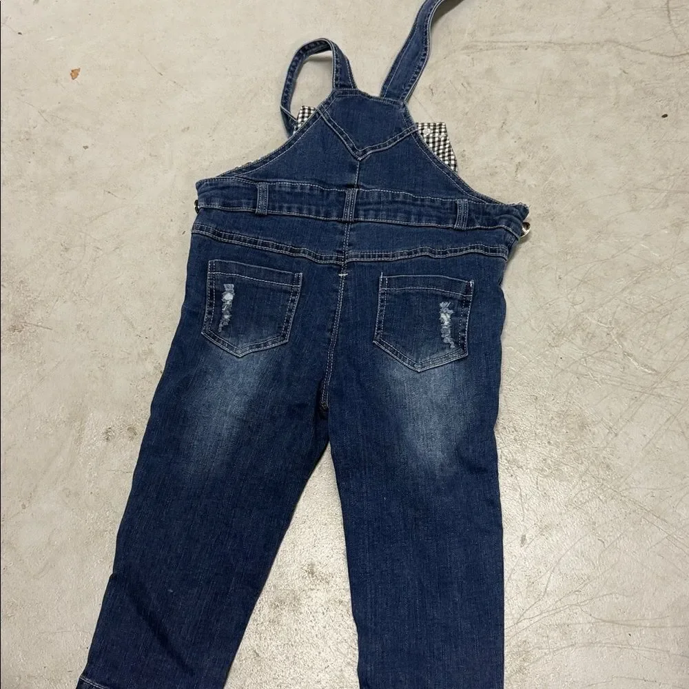 Gymboree stylish blue