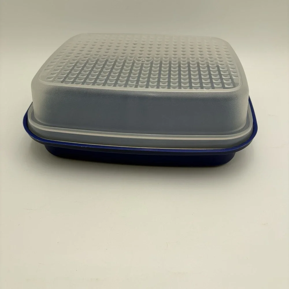 Vintage Tupperware Blue Season N Serve Meat Veggie Marinade Container‎ Large