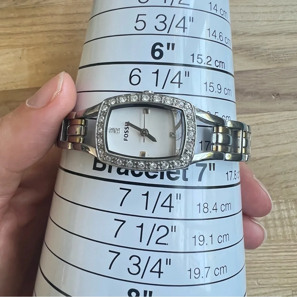 Fossil brand model