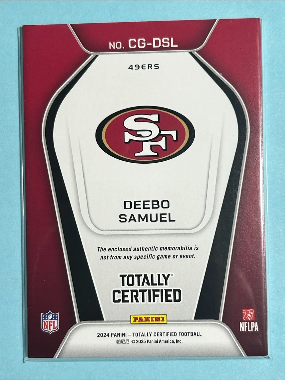 Panini official football