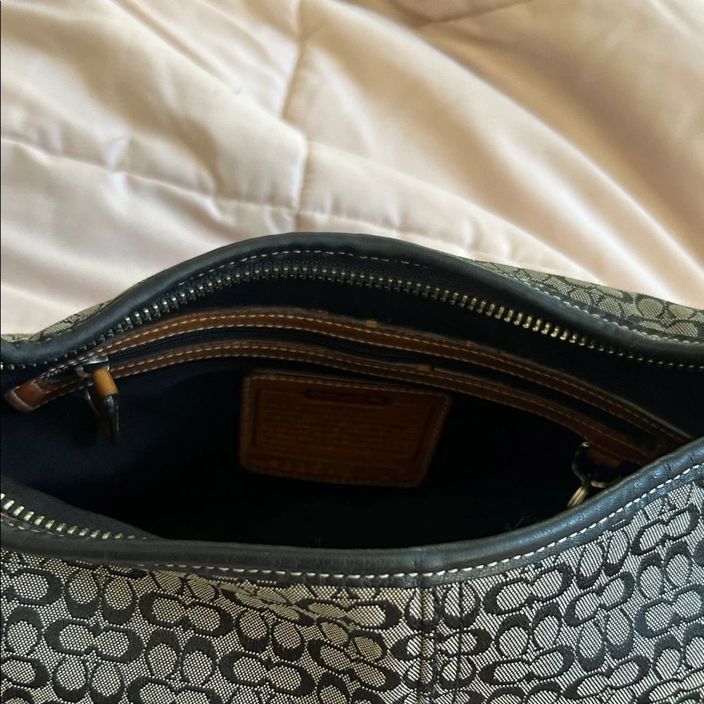 Coach hobo any chic