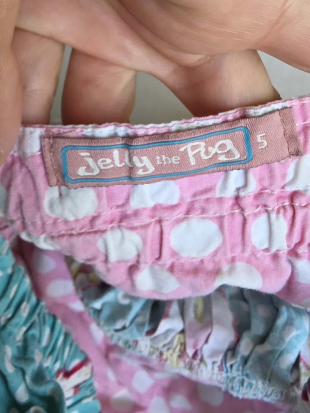 Jelly The Pug this colorful