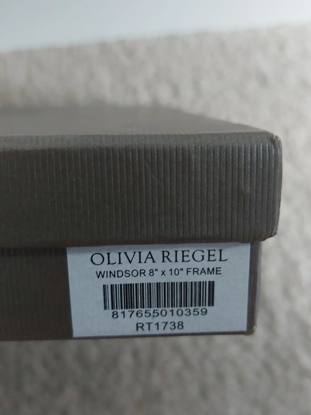 Olivia Riegel olivia riegel