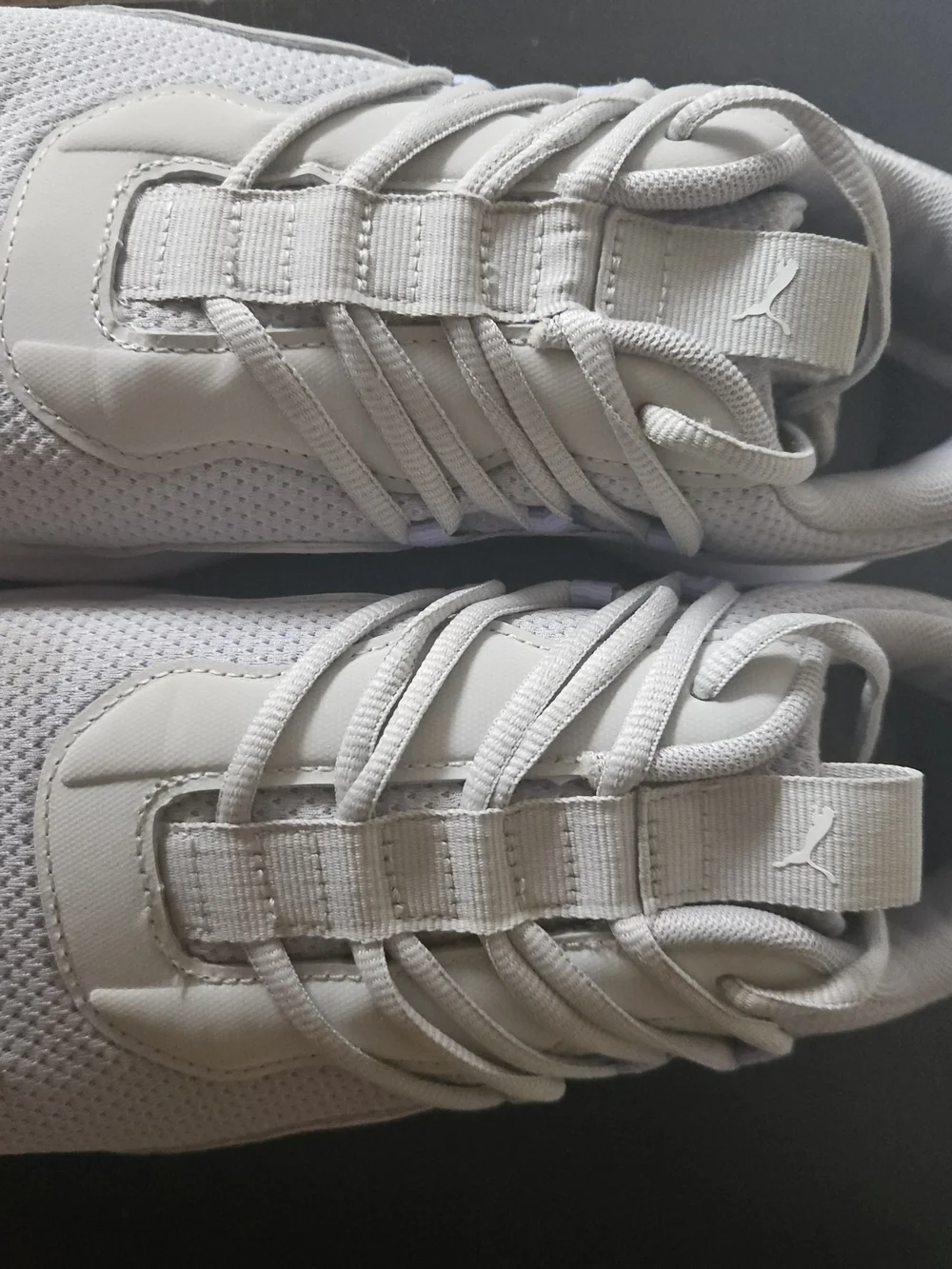 Puma slip into