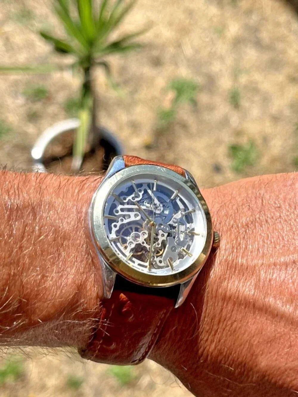 Kenneth Cole New York large skeleton