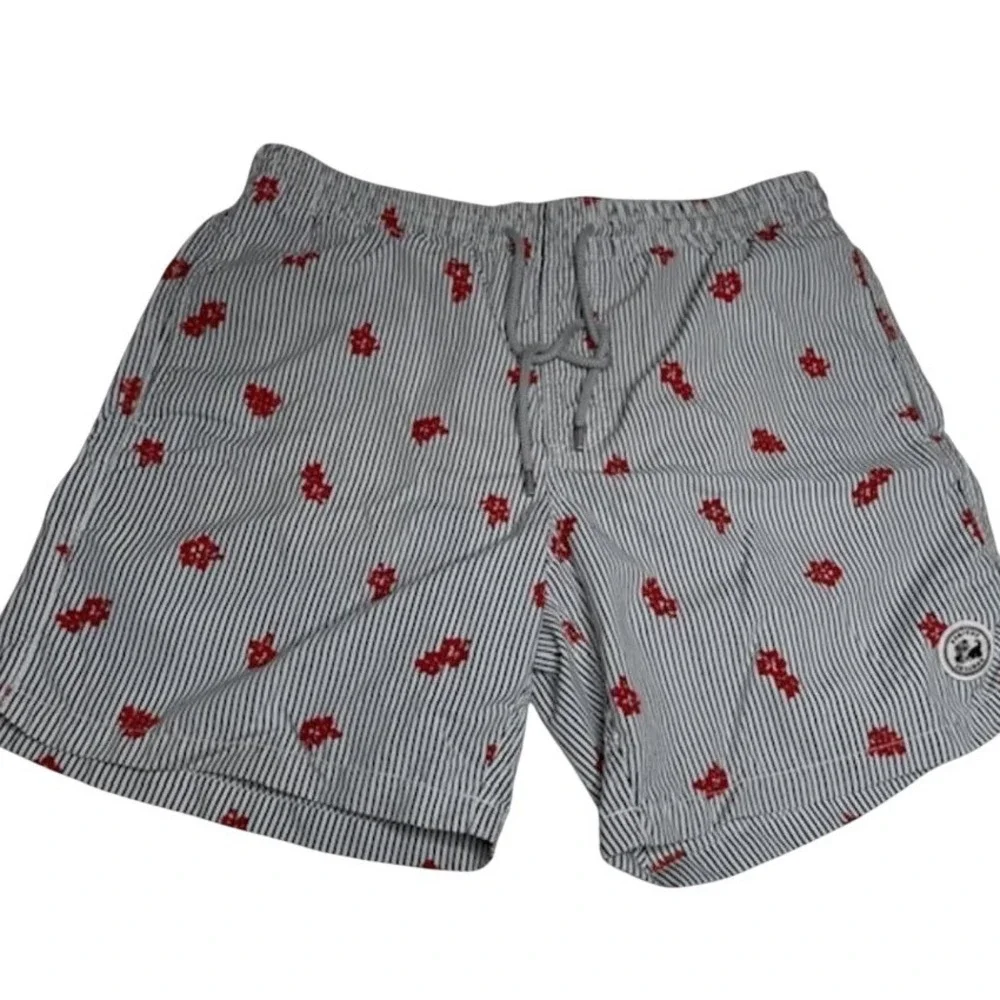 SurfCuz swim trunks