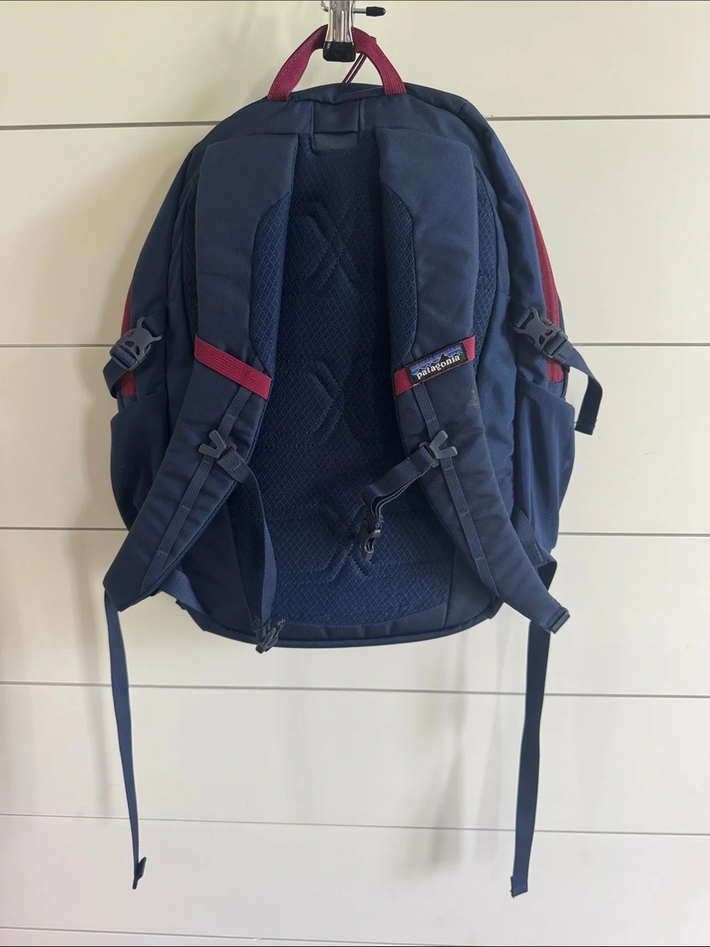 Patagonia sturdy backpack