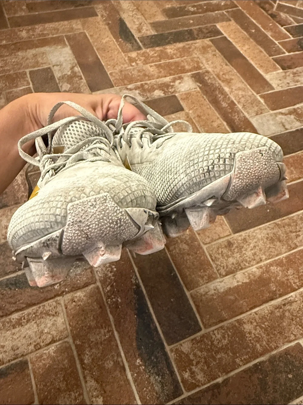 adidas gold life normal