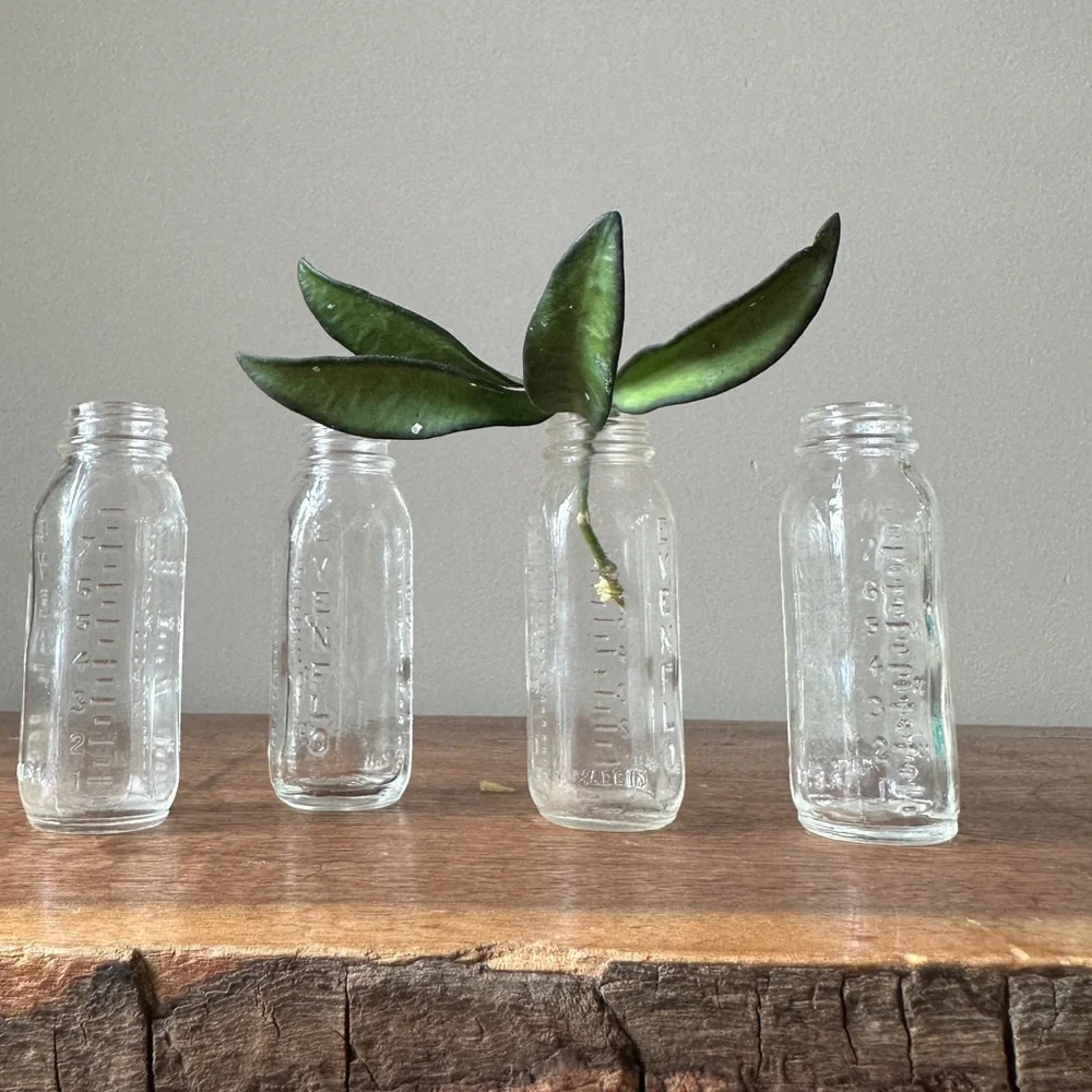 Vintage Glass Bottles Evenflow Baby Doll Accessories Glass Propagation Set of 4