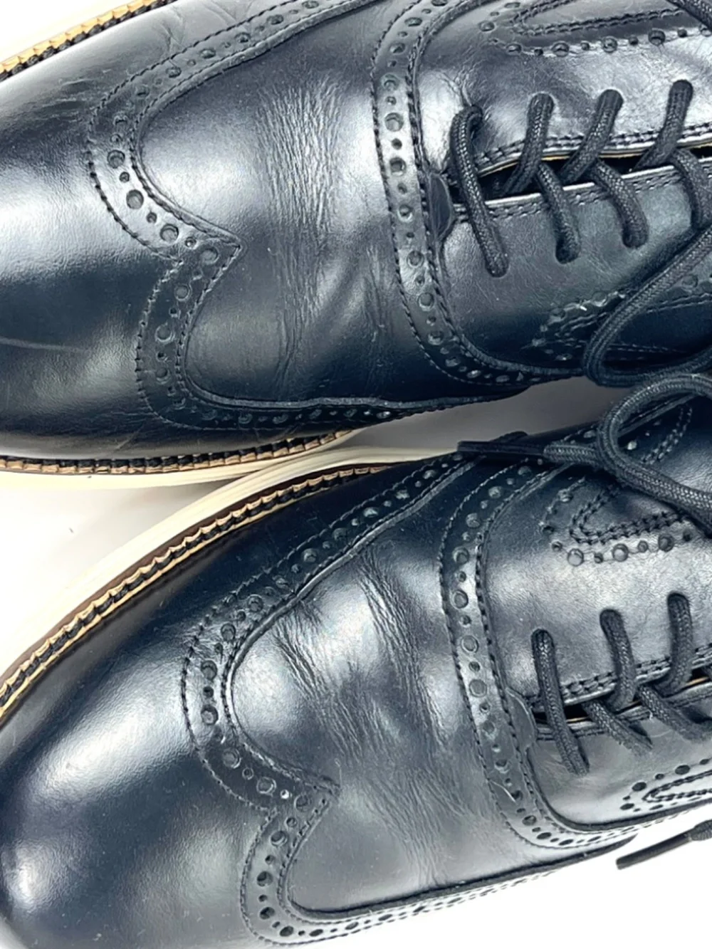 Cole Haan popular wingtip