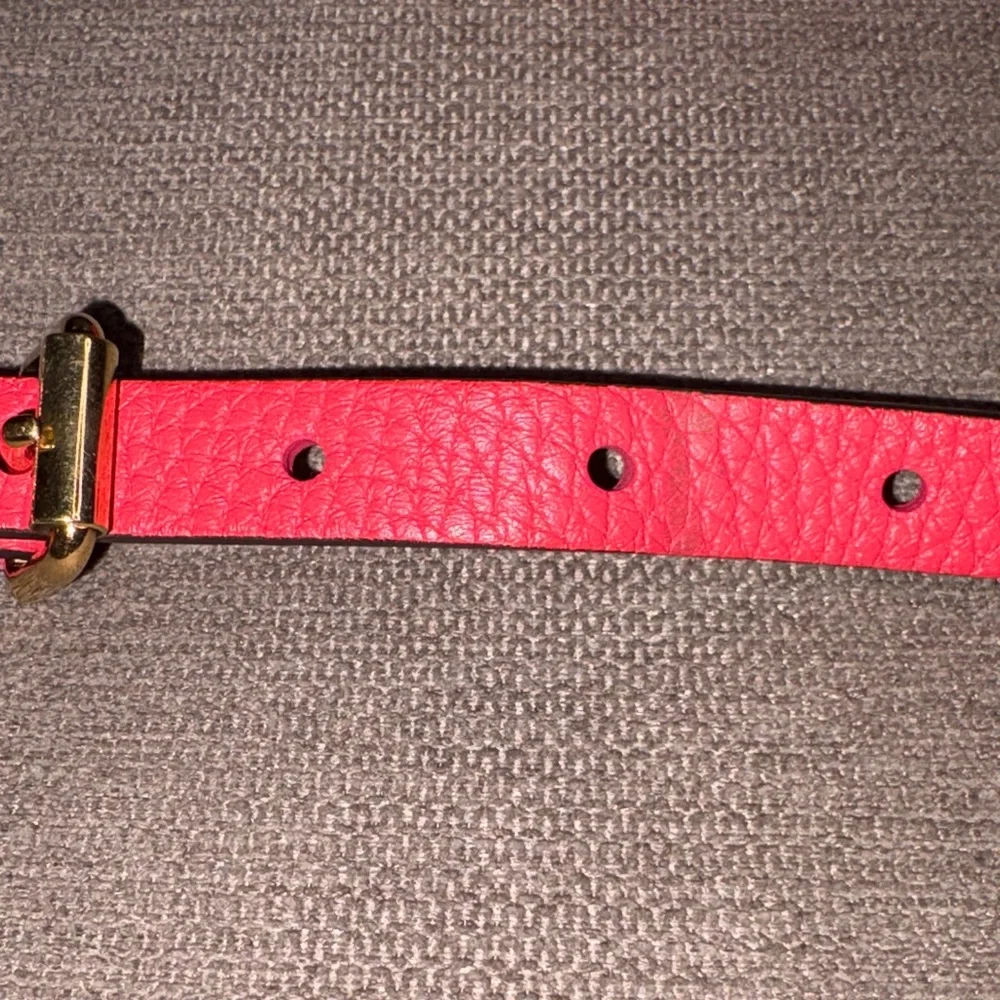 Louis Vuitton classic louis