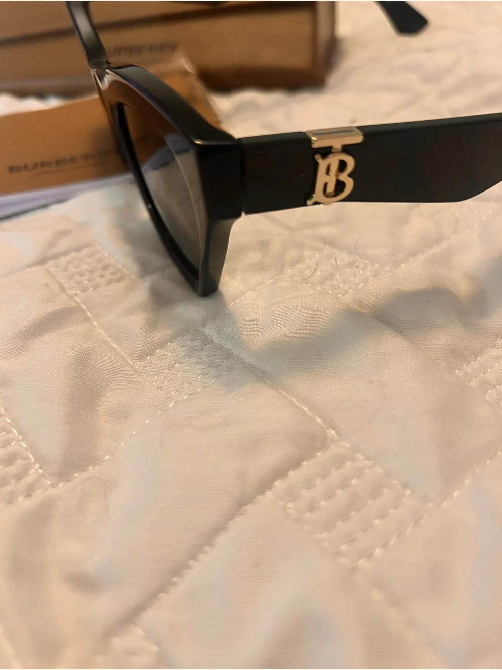 Burberry modern cat
