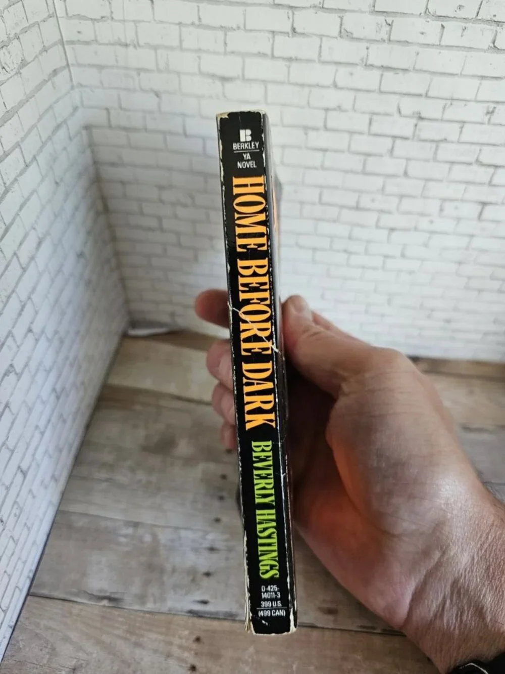 Point Horror vintage 1993