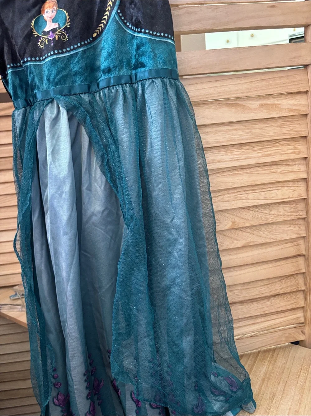 Disney character dress