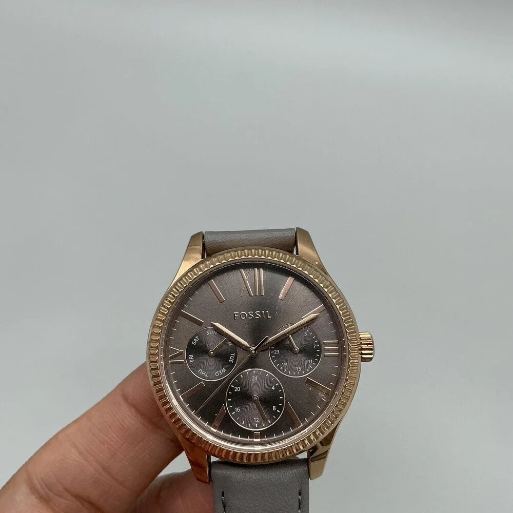 Fossil see photos