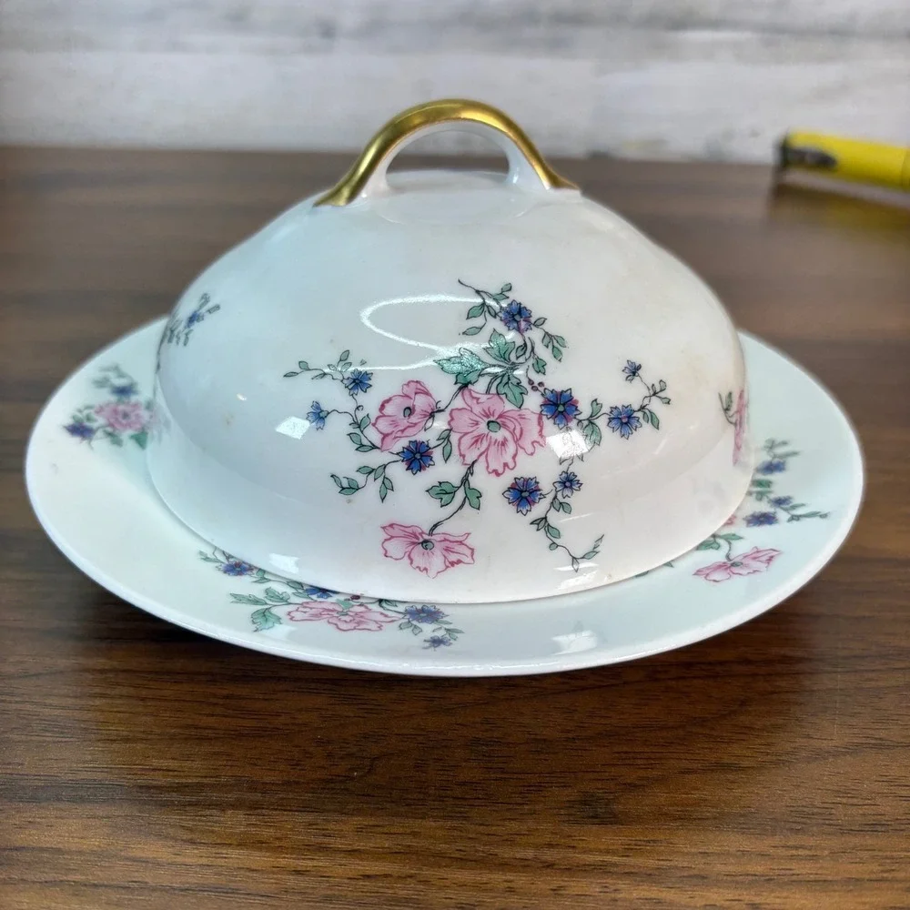 Antique THEODORE HAVILAND LIMOGES HAND‎ PAINTED Porcelain Covered Butter Dish