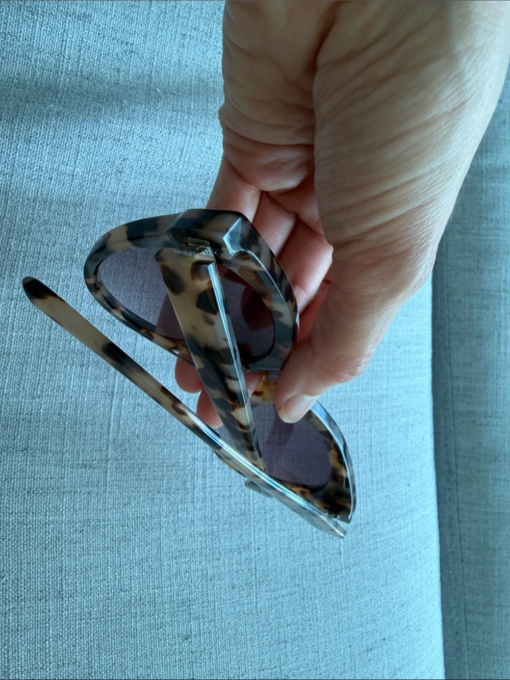 Salsa Suns fashionable tortoiseshell