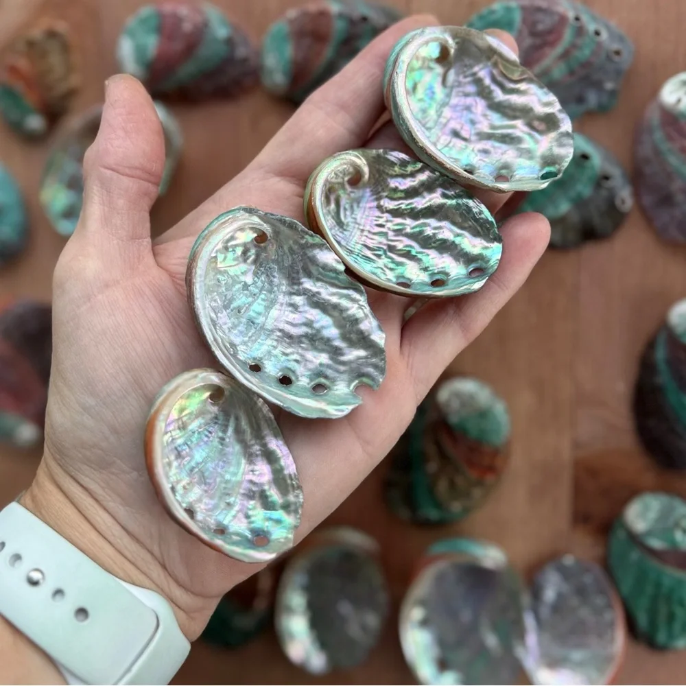 Creating On The Coast brand new