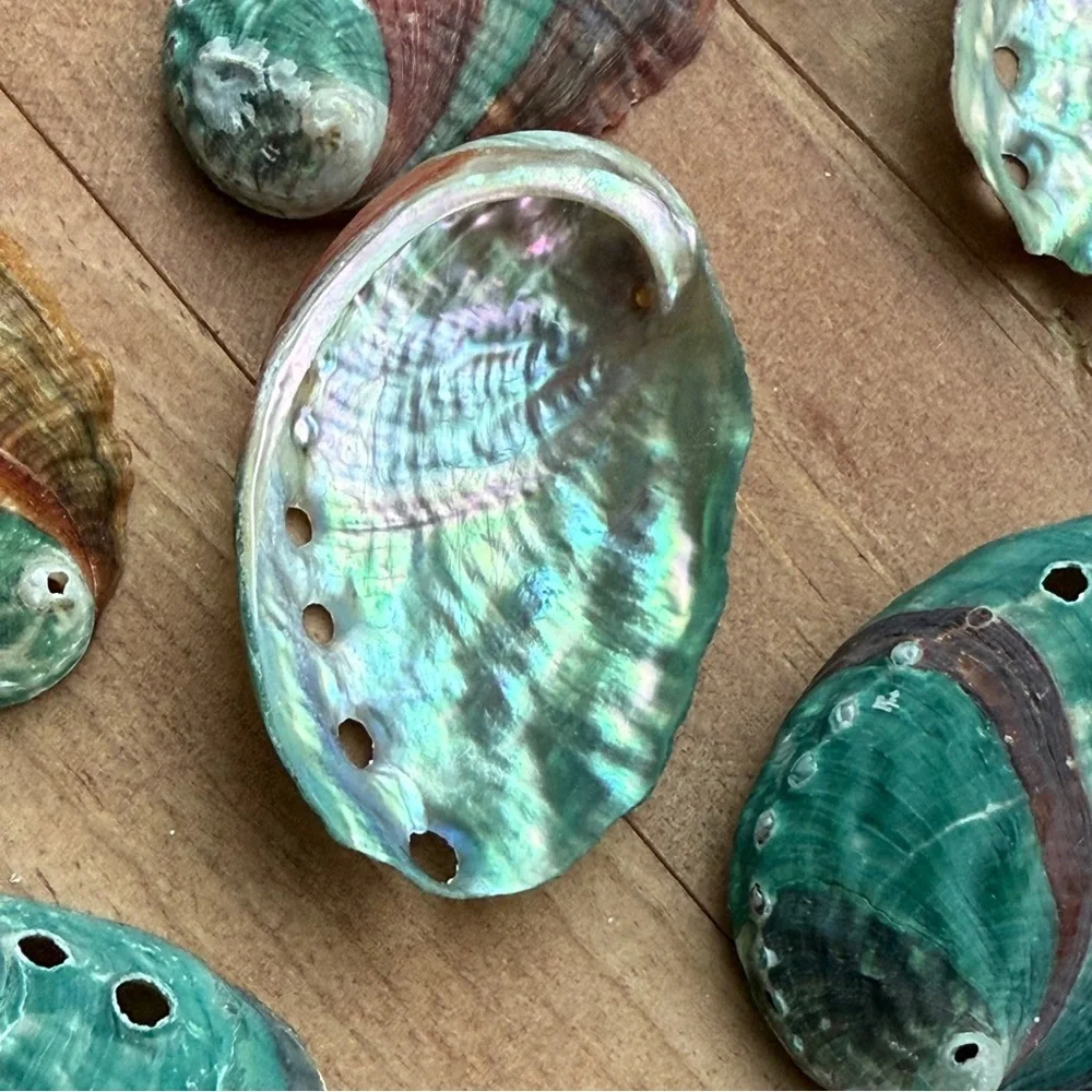 Creating On The Coast brand new