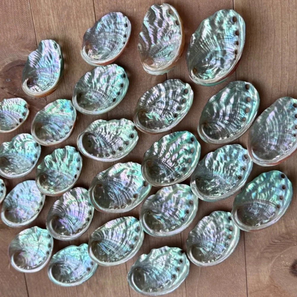 Creating On The Coast brand new