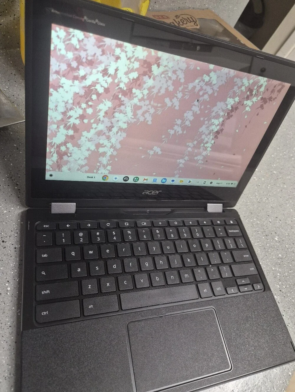 Acer chromebook can