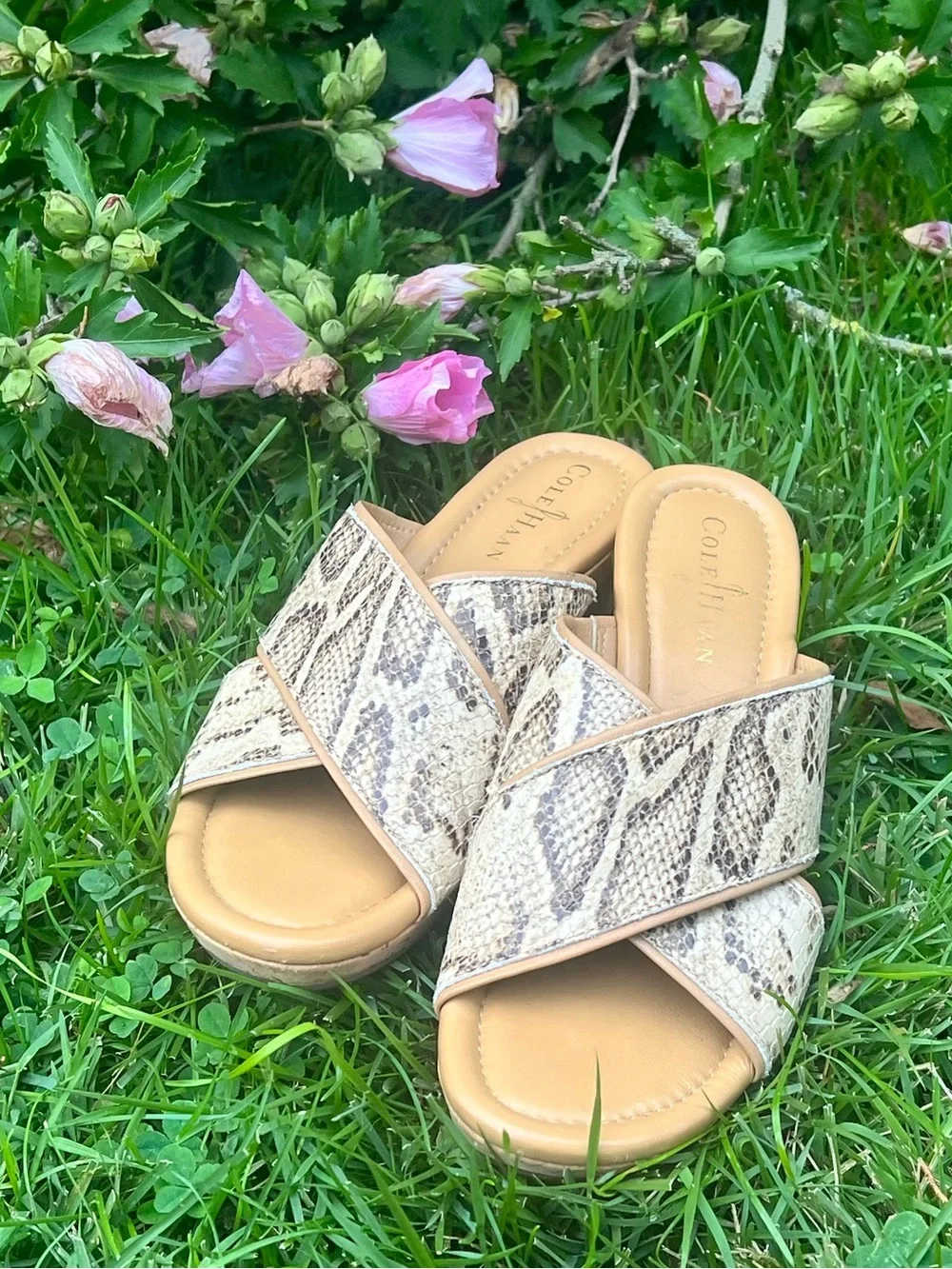 N/A cole haan