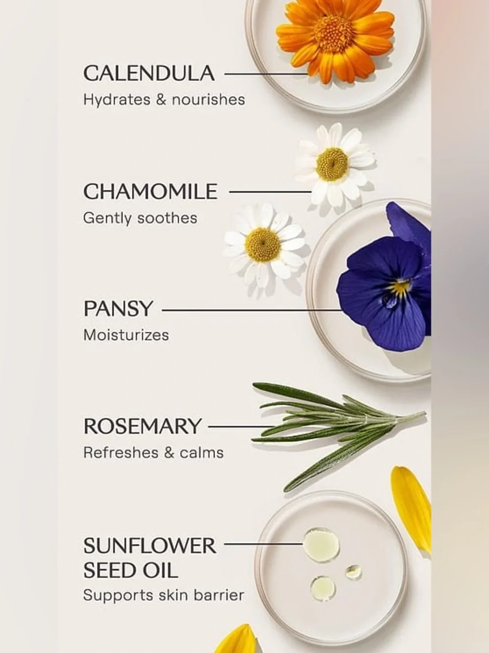 Weleda ceramide serum