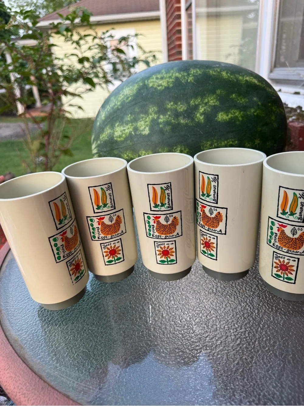Ceramic Farmhouse Pattern Tumbler Set - Cream with Colorful Motifs