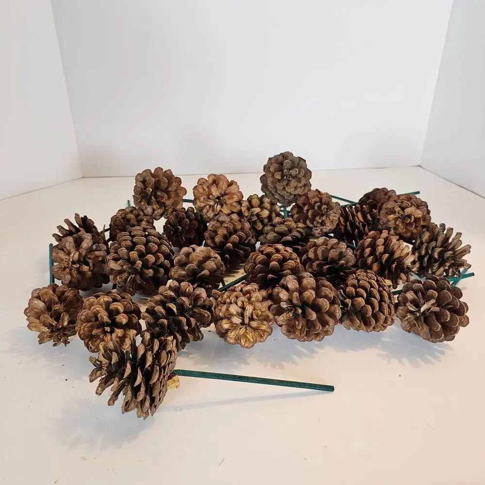 30 Natural Pine Cone Floral Picks 7in Green Wood Stems Wreath Craft Rustic Decor