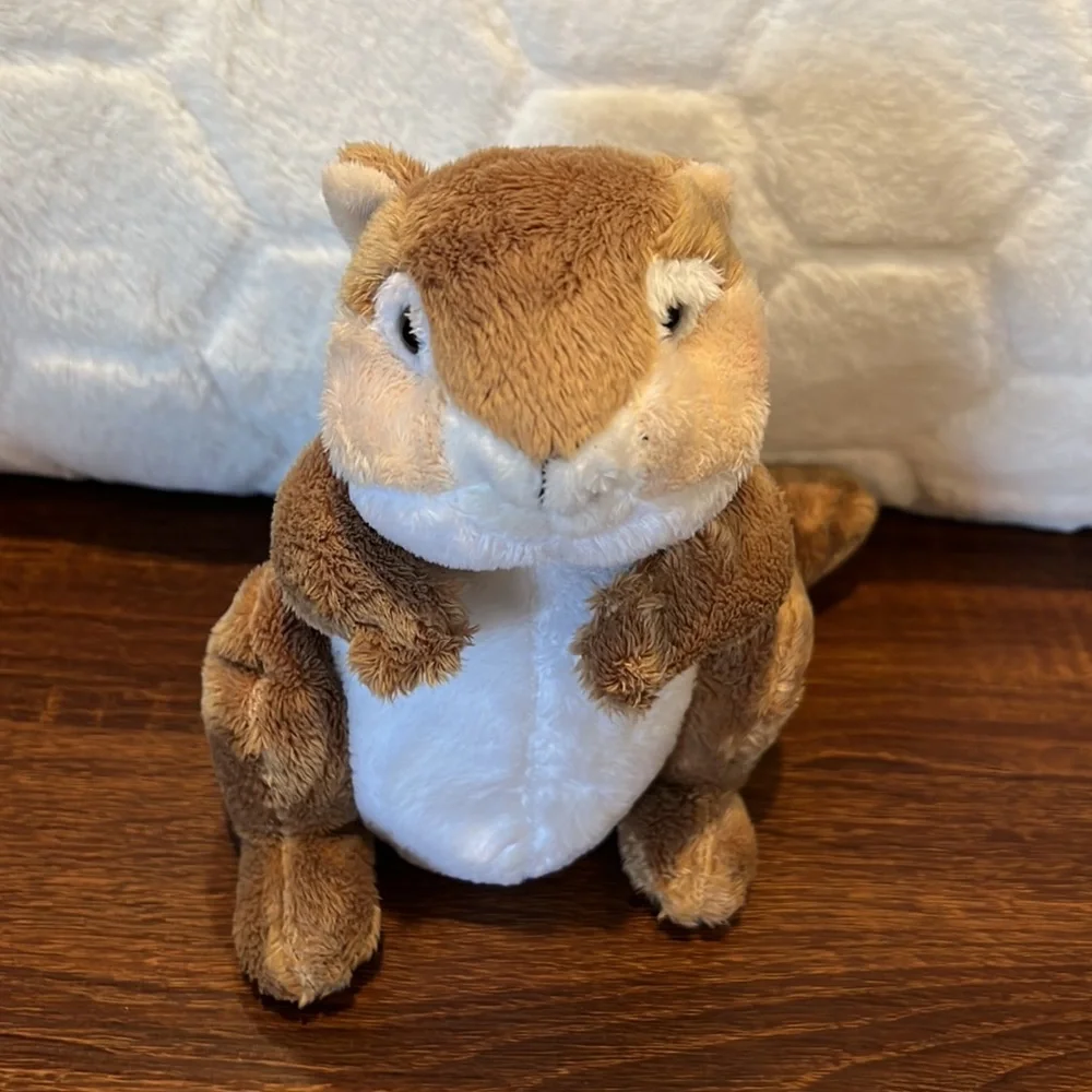 webkinz grab these