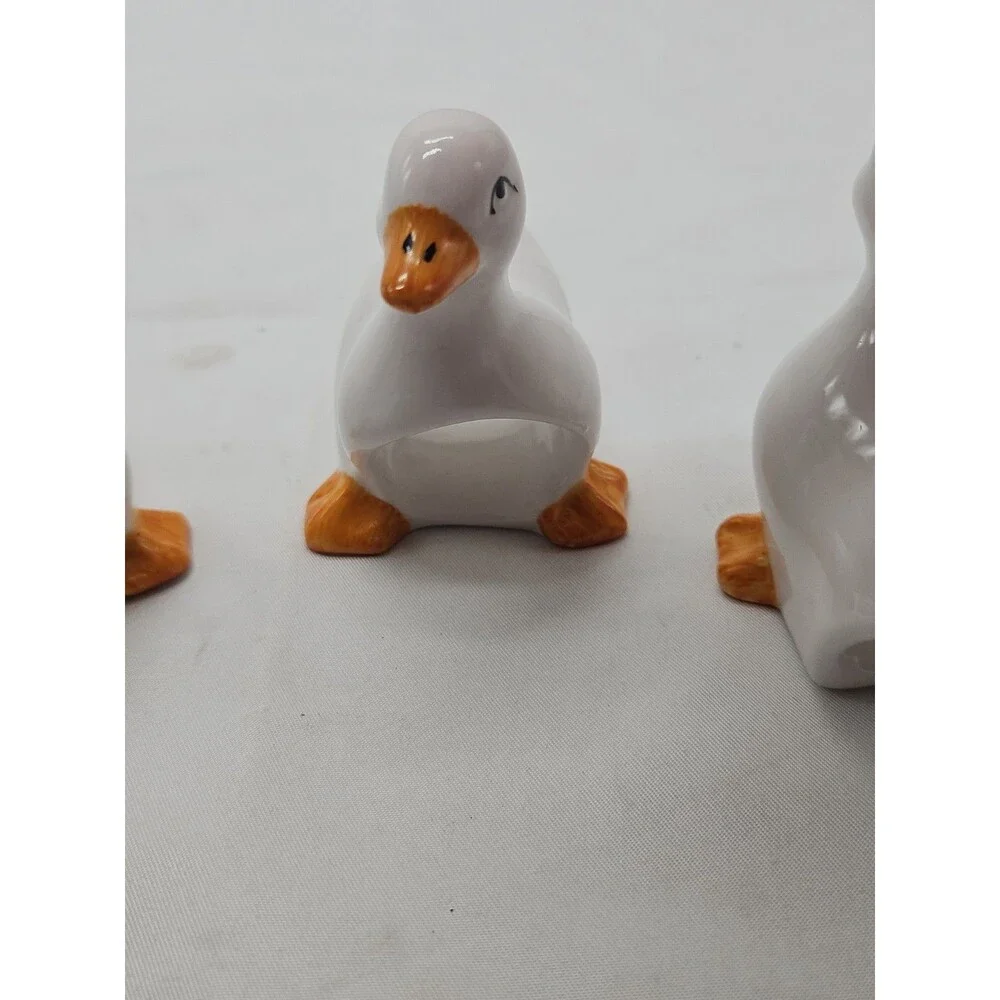 Swan pre owned