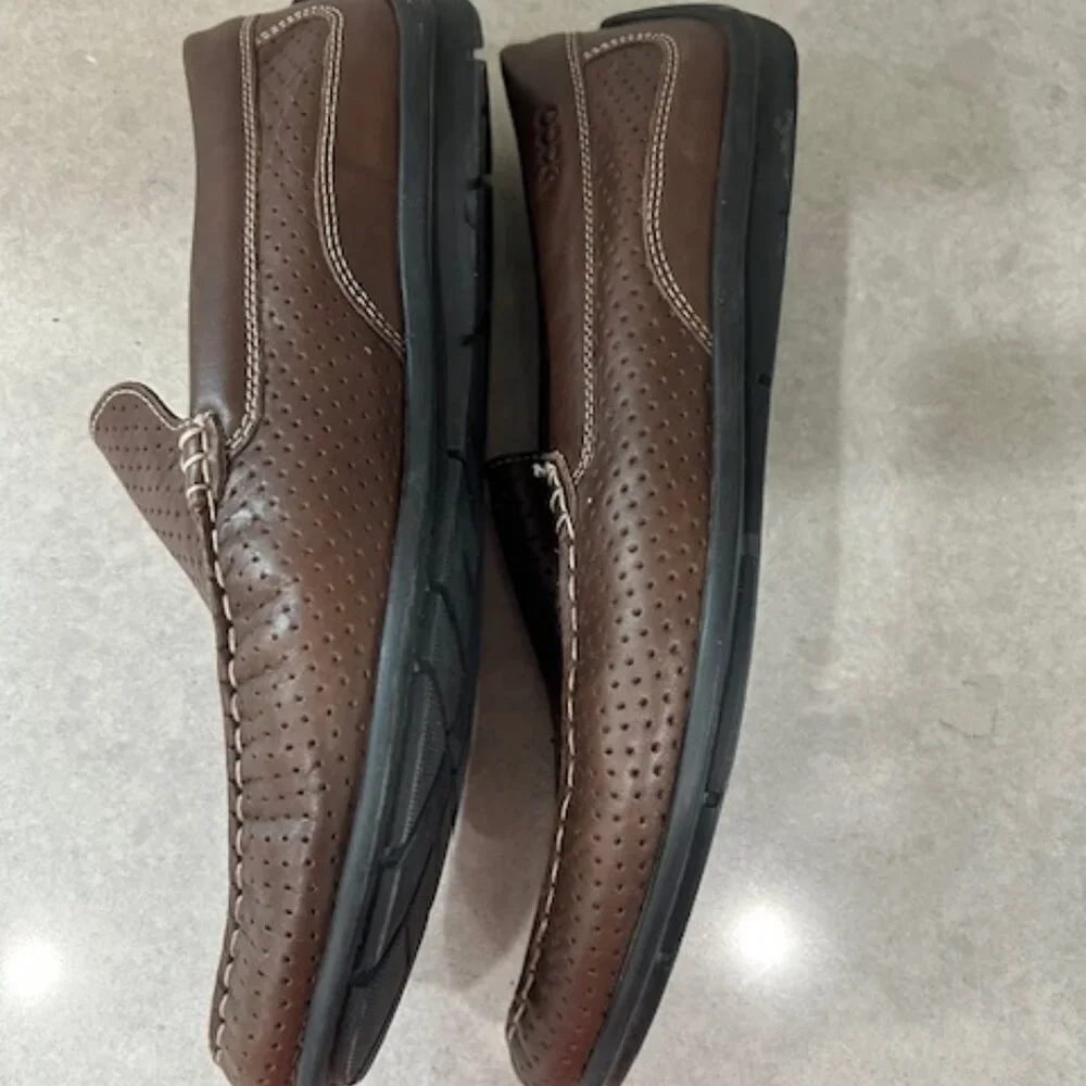 Ecco excellent pre