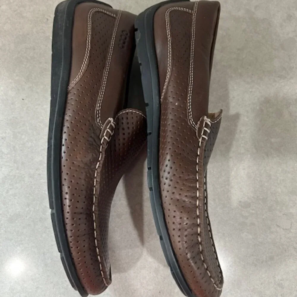 Ecco excellent pre