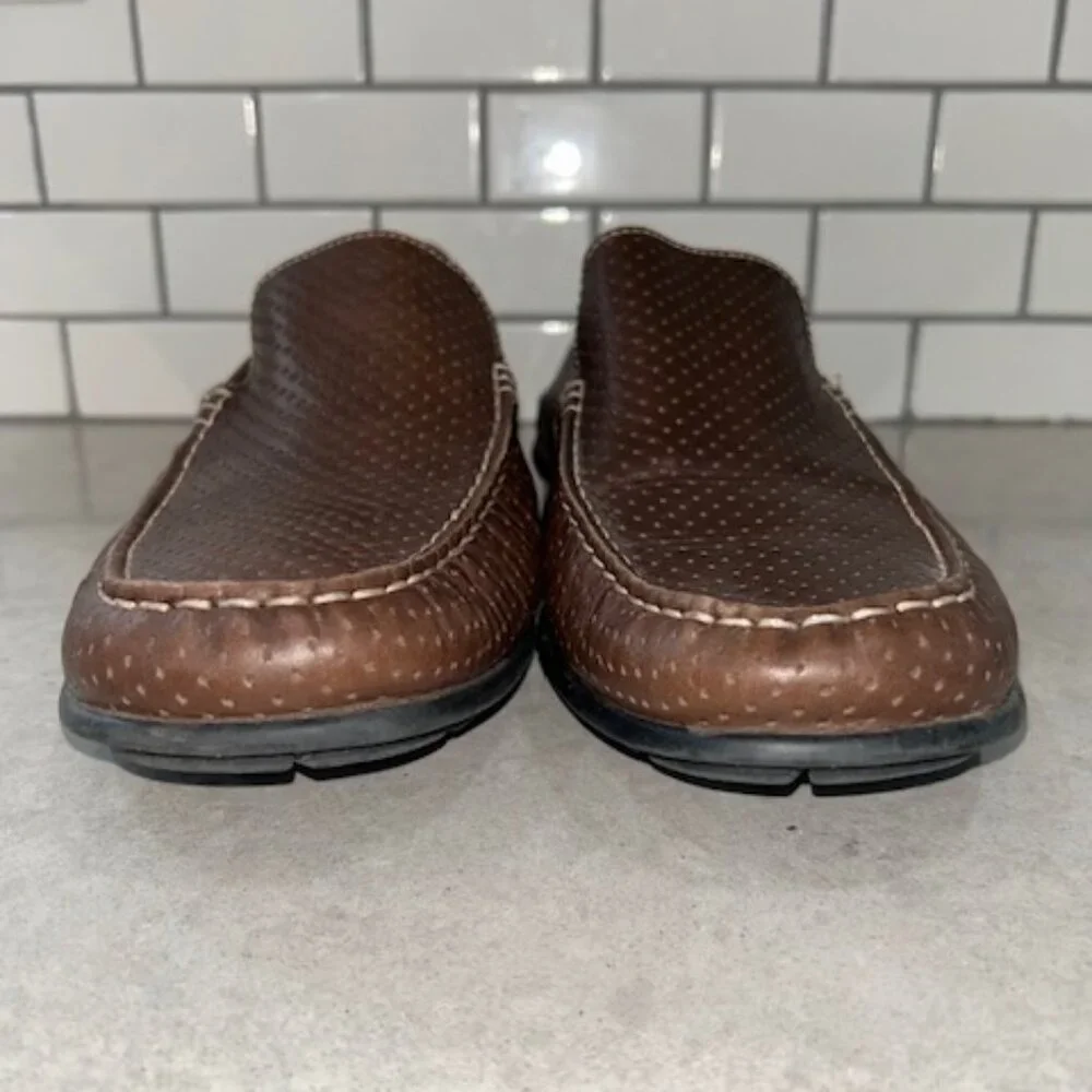 Ecco excellent pre