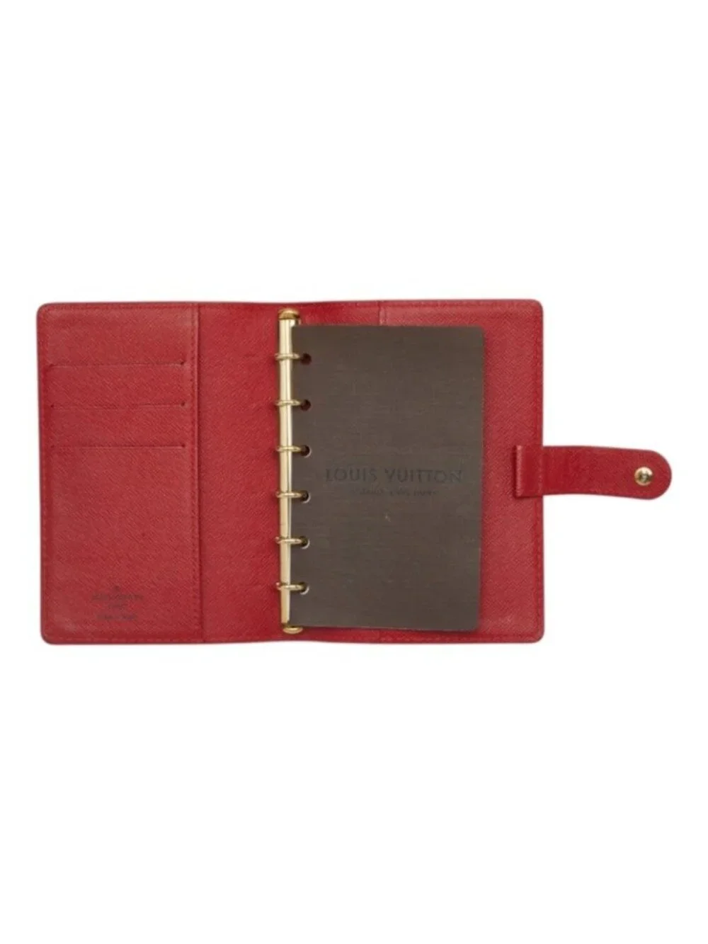 Louis Vuitton brand louis