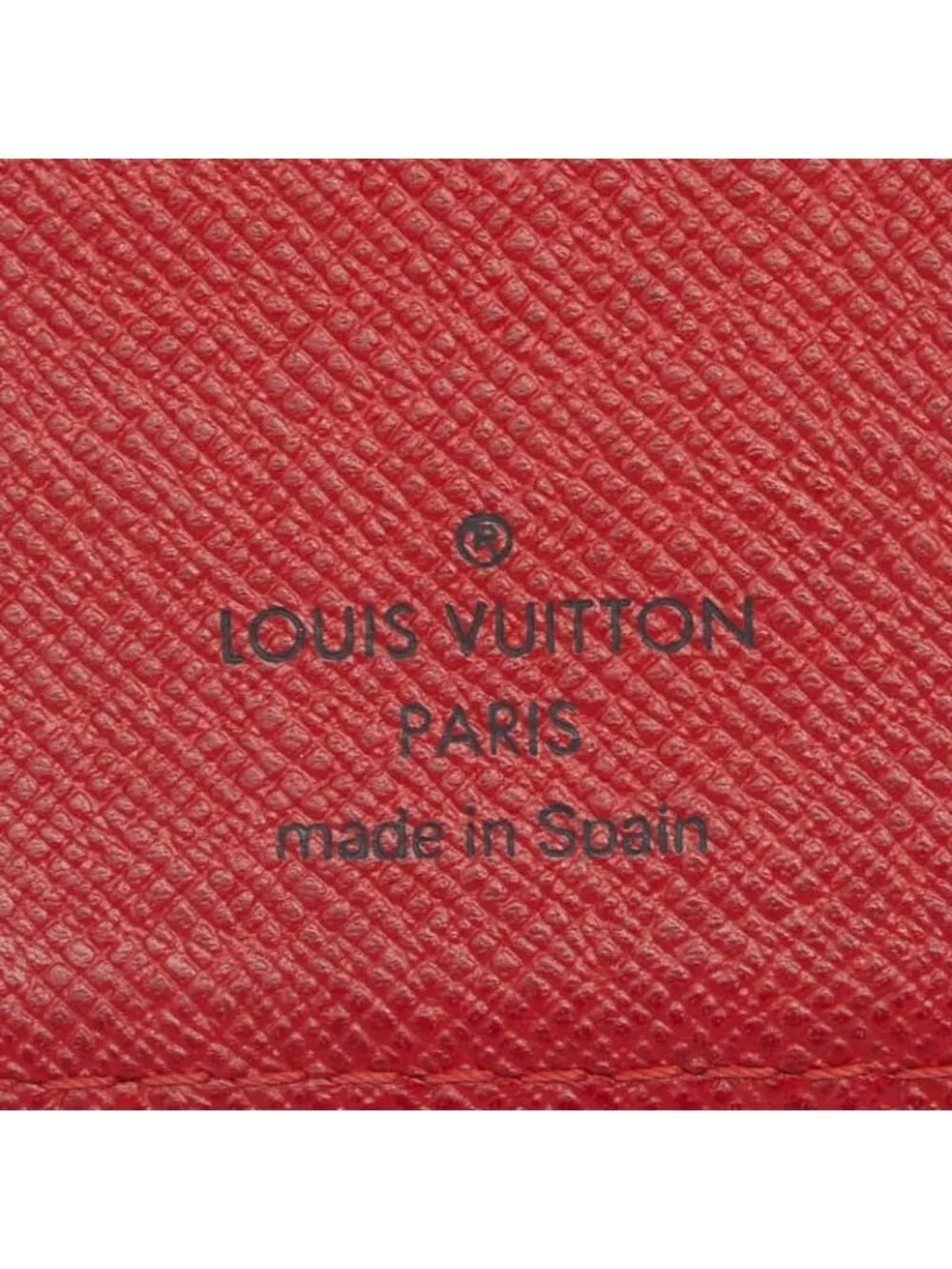 Louis Vuitton brand louis