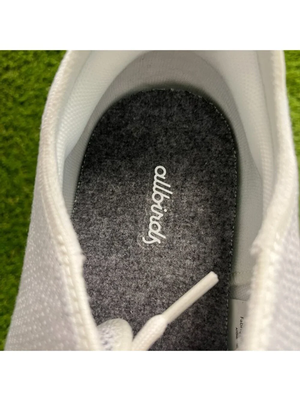 allbirds please review