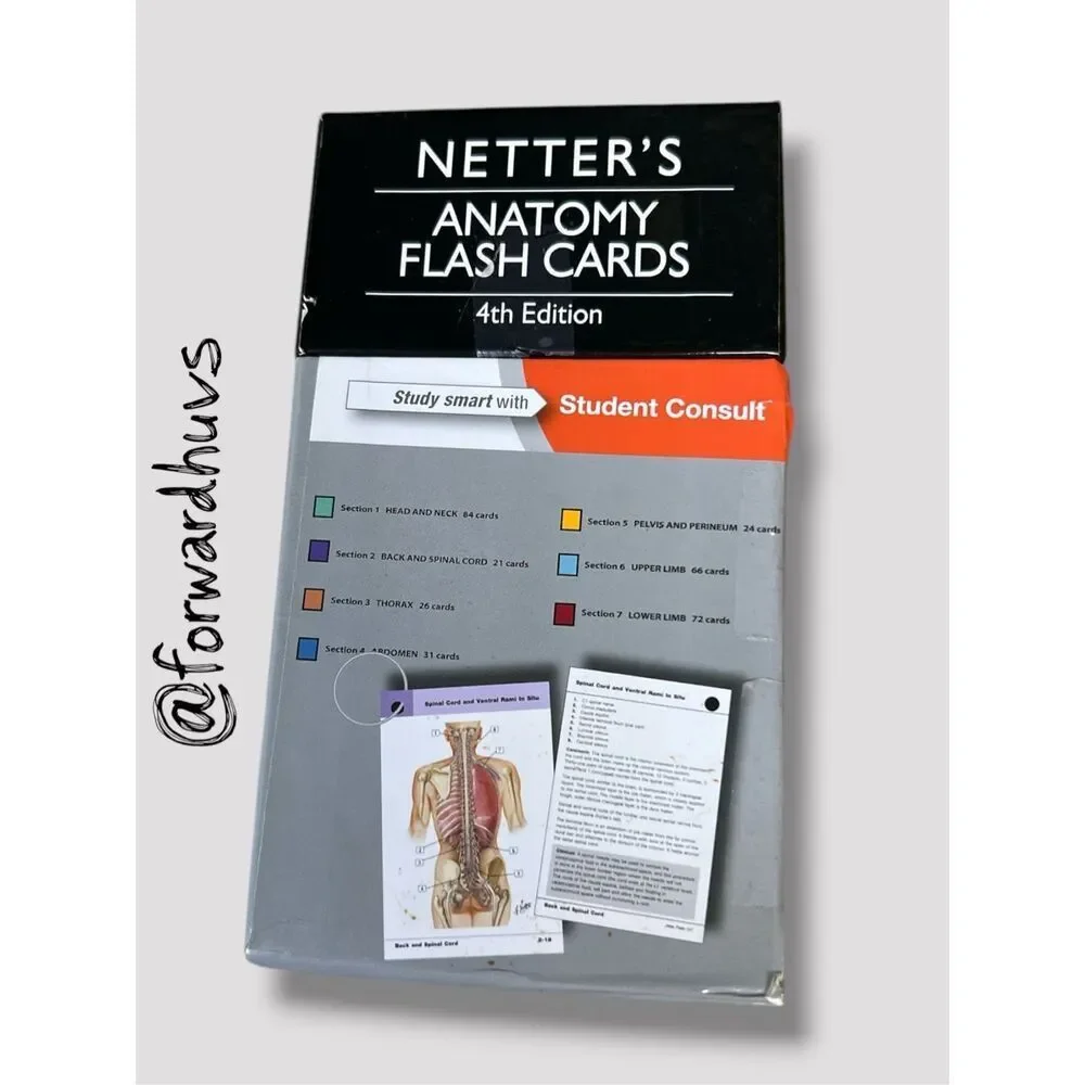 Netter’s Anatomy Flash Cards – 4th Edition – Student‑Annotated Set - Writing - N